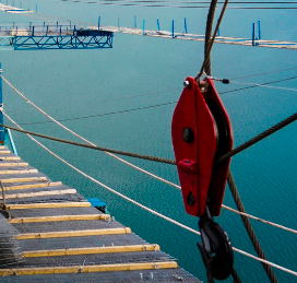 悬索桥施工过程中起重滑车的作用